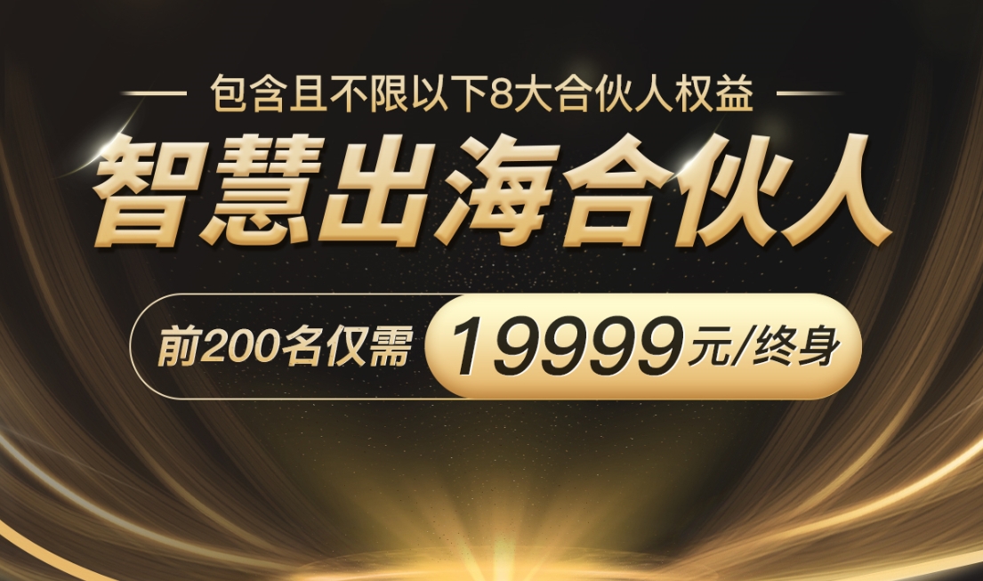智慧出海合伙人简洁介绍版（多谈价值）